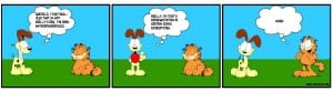 20070315-garfield