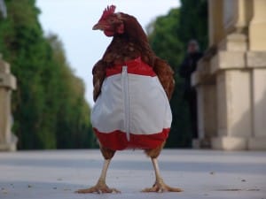20070724-chicken3