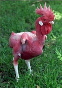 20070724-featherless